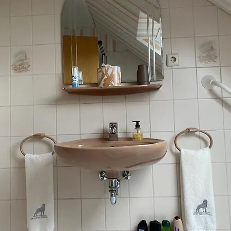 Paulina Apartment Braunschweig