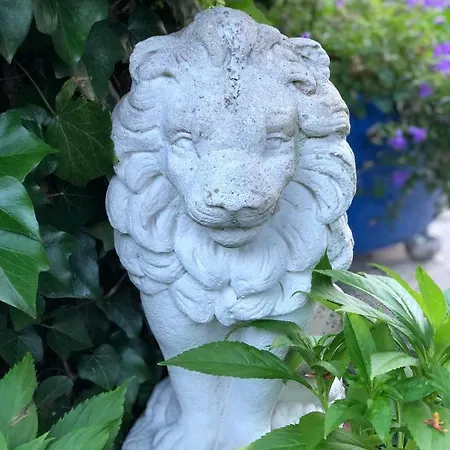 Paulina Braunschweig