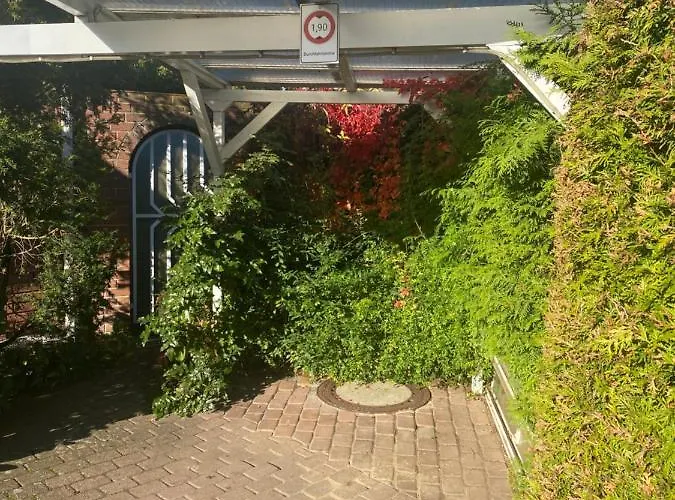 Paulina Braunschweig