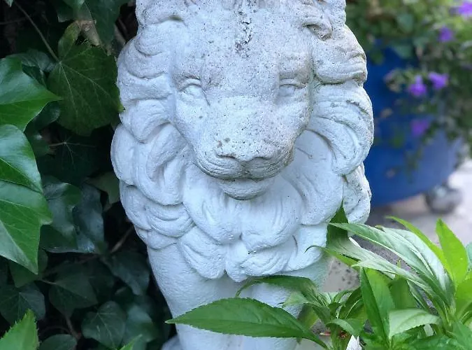 Paulina Braunschweig